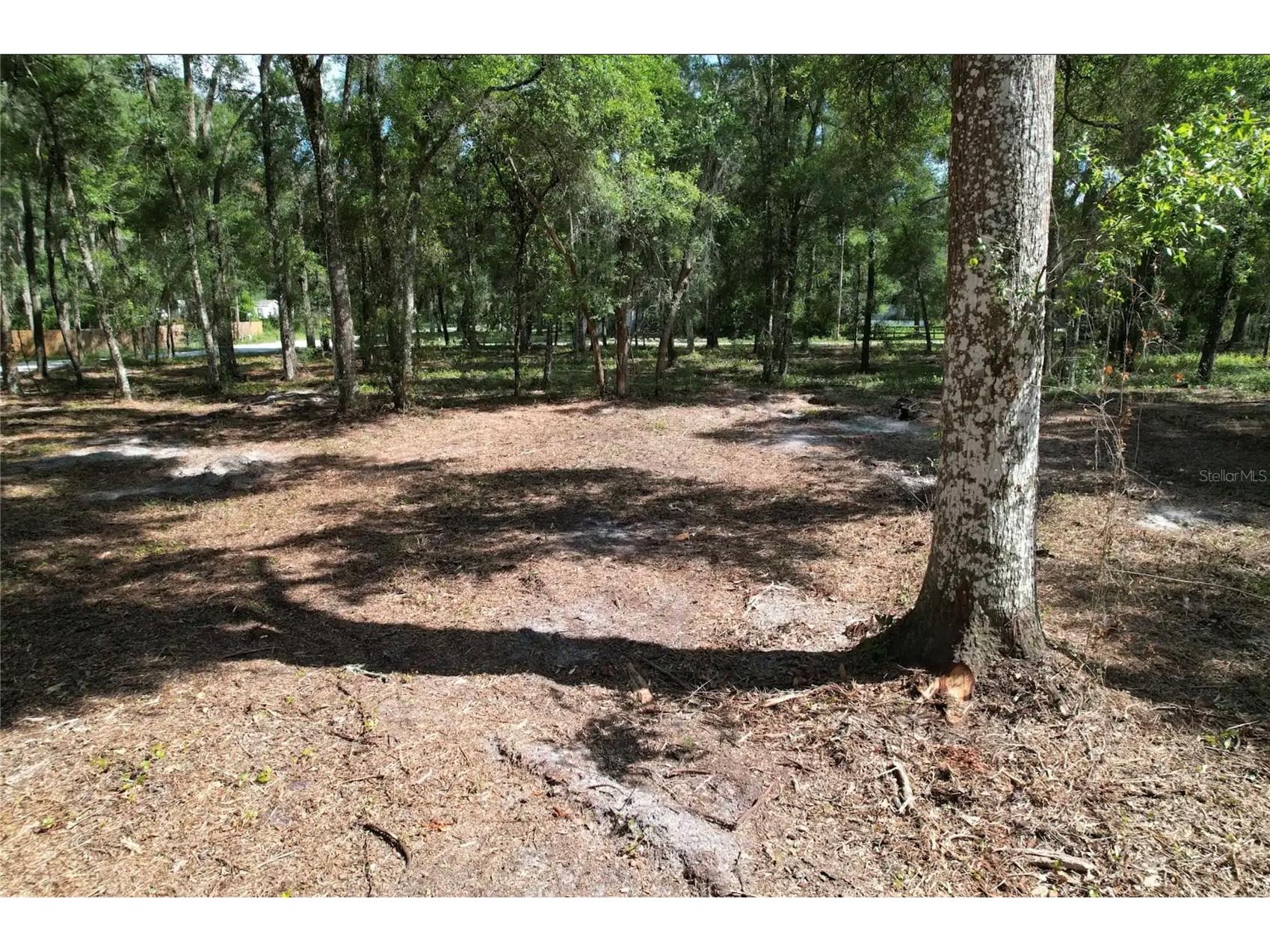 17792 SE 30th Avenue Summerfield FL 34491 O6417264 image9