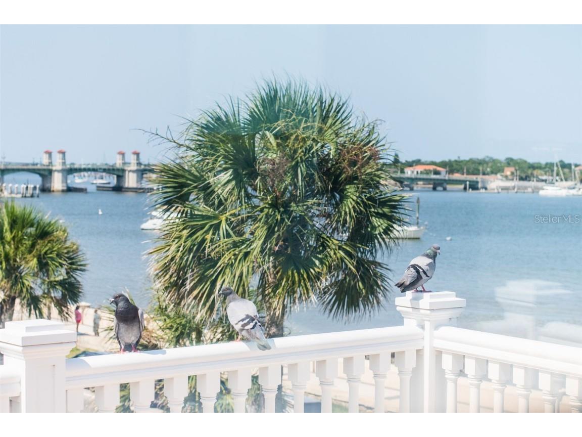 178 Avenida Menendez Saint Augustine FL 32084 FC314156 image84