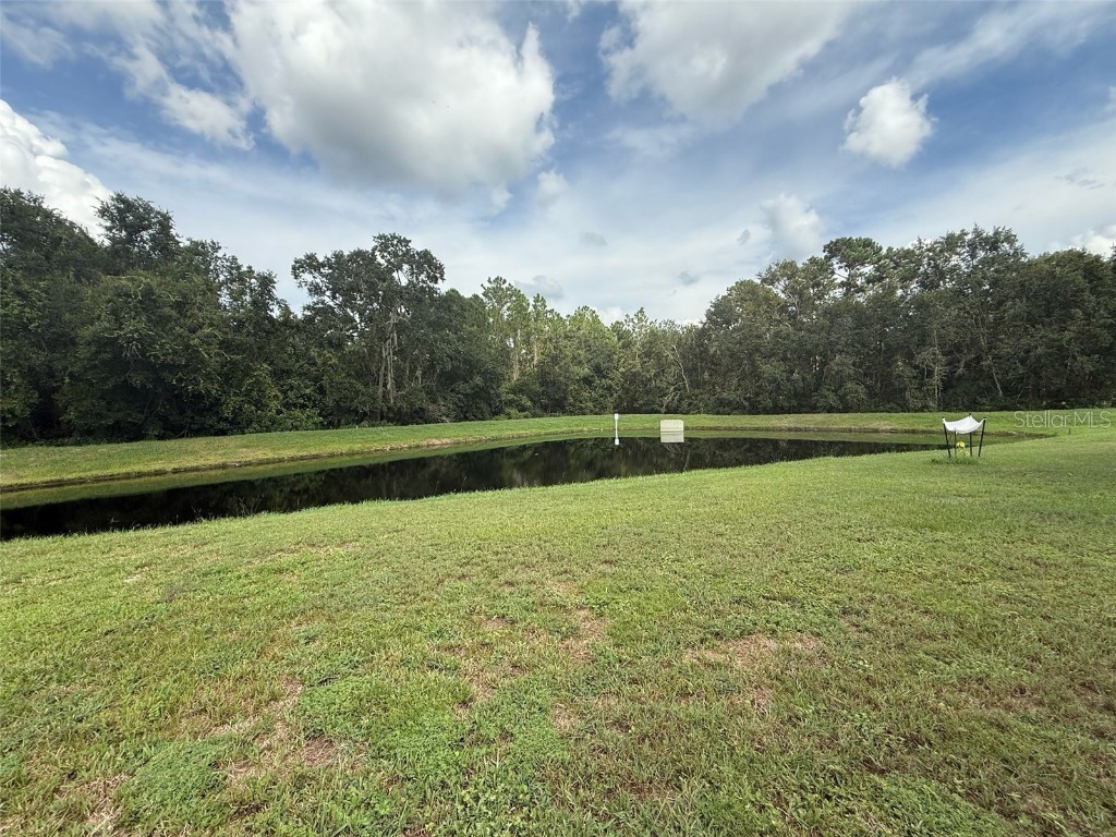 178 Hammock Court Davenport FL 33896 O6342184 image27