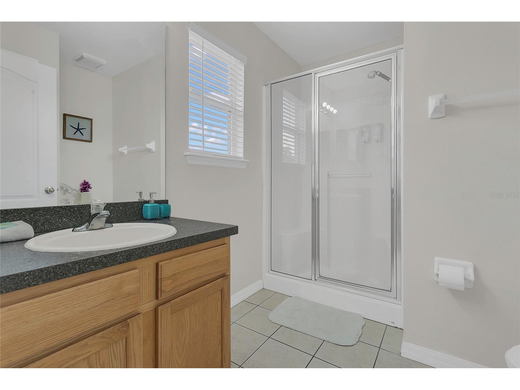 178 Hammock Court Davenport FL 33896 O6410789 image21