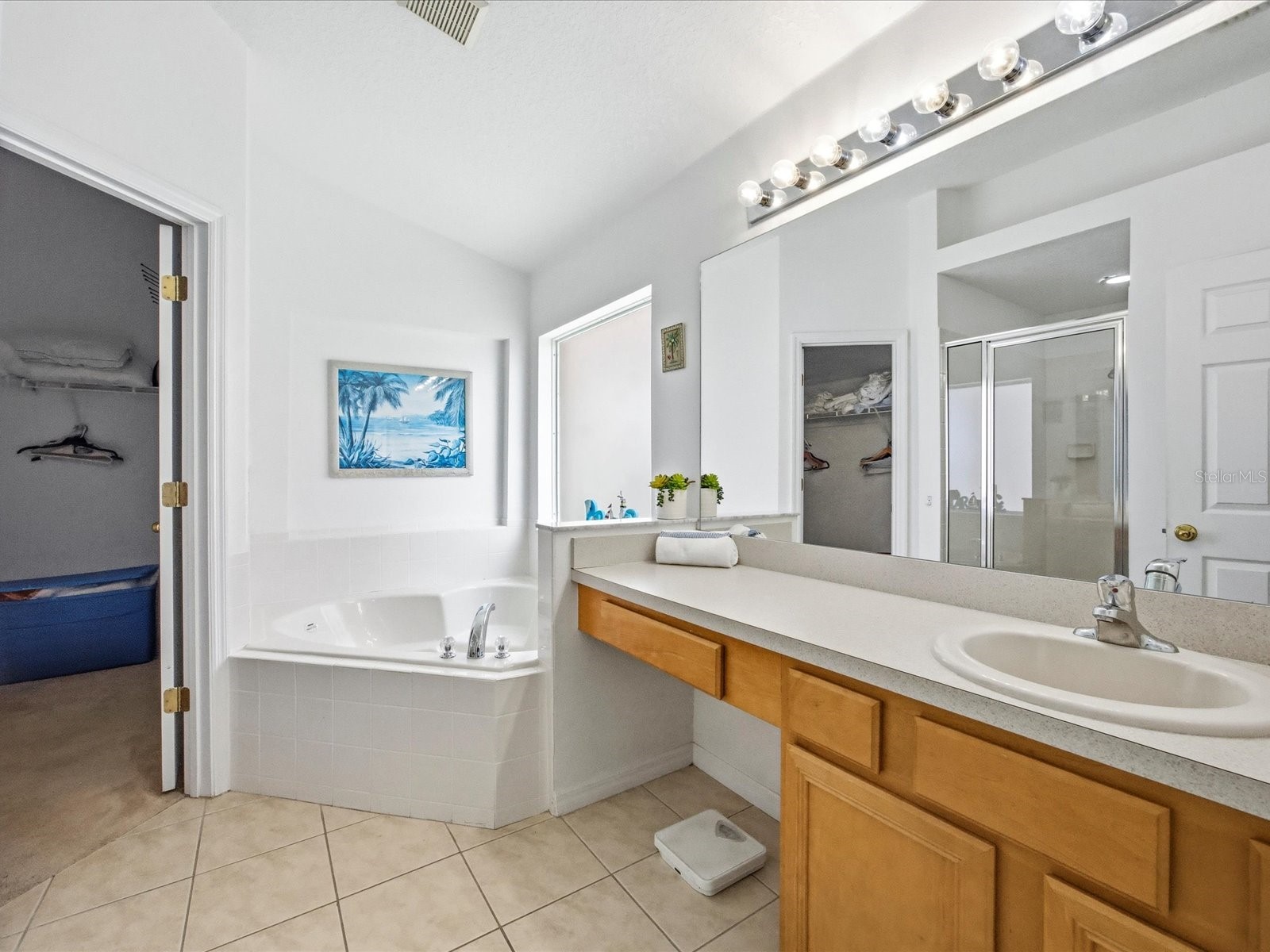 178 Hideaway Beach Ln Kissimmee FL 34746 O6405341 image27