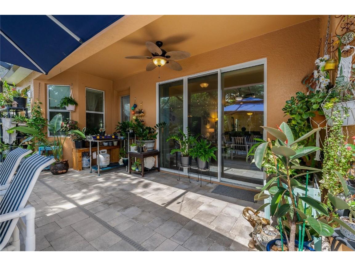 178 Magneta Loop Auburndale FL 33823 P4935674 image42