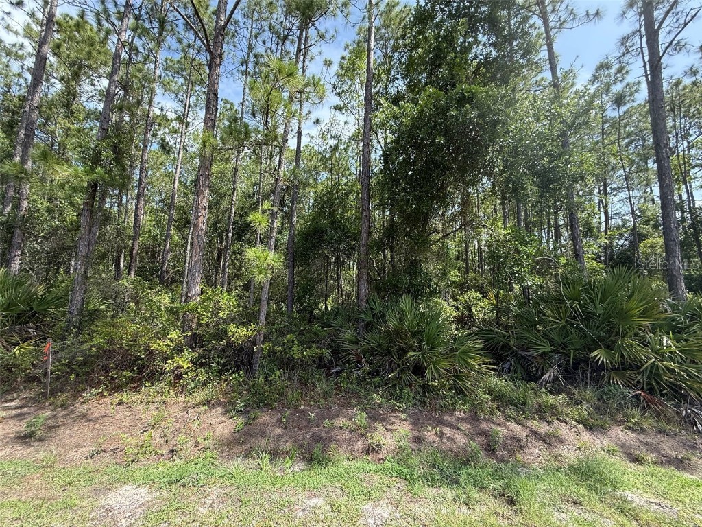178 Millican Road Palatka FL 32177 OK225193 image2