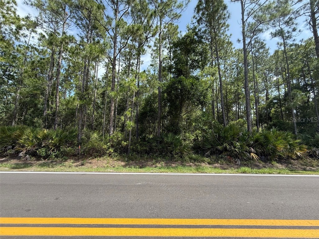 178 Millican Road Palatka FL 32177 OK225193 image3