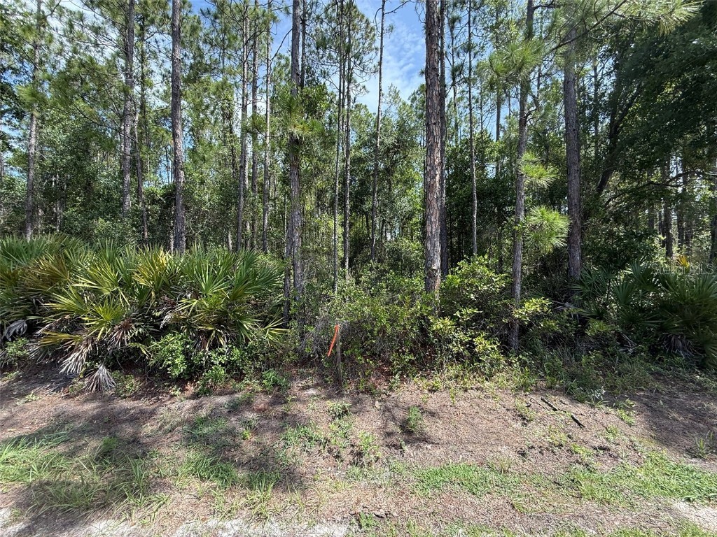 178 Millican Road Palatka FL 32177 OK225193 image4