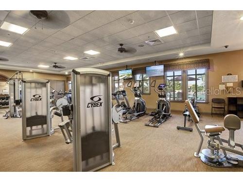 178 Wandering Wetlands Circle Bradenton FL 34212 A4693352 image49