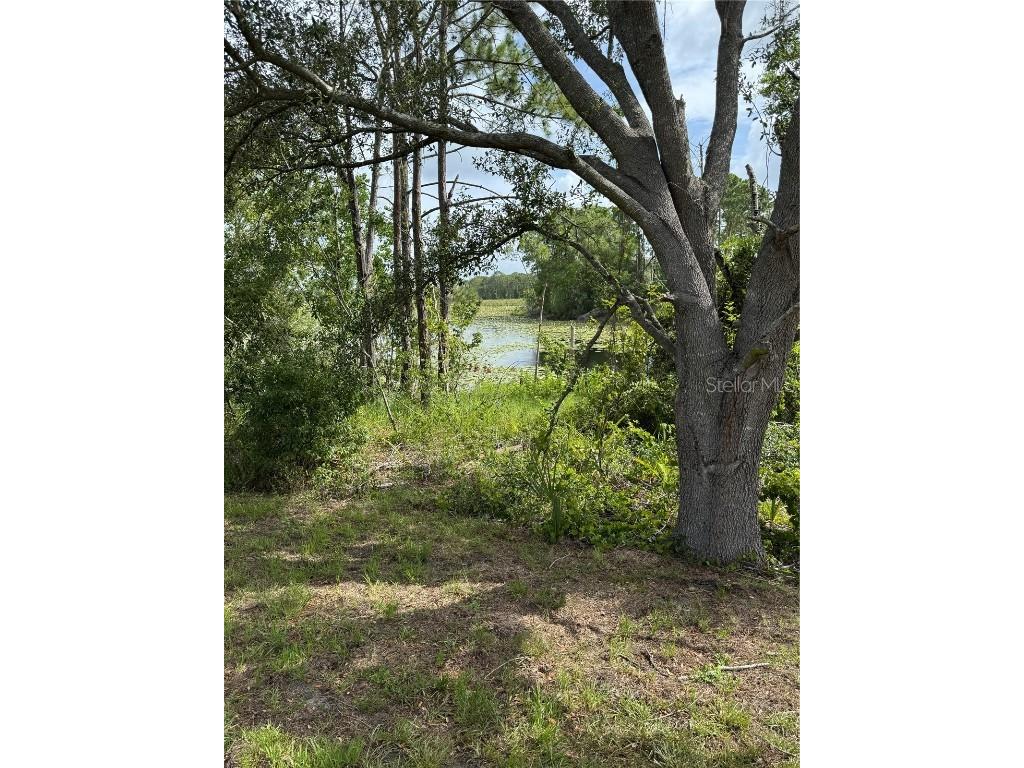 1780 Converse Court Deltona FL 32738 O6221078 image15