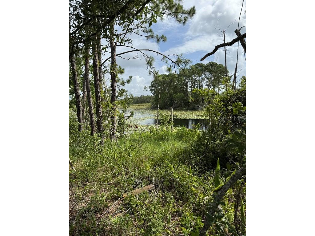 1780 Converse Court Deltona FL 32738 O6221078 image16