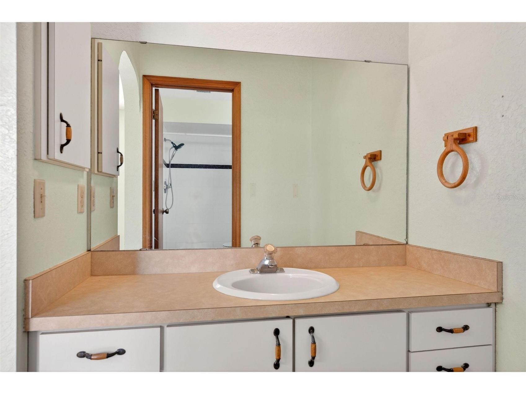 1780 Heather Street Mount Dora FL 32757 G5111126 image50