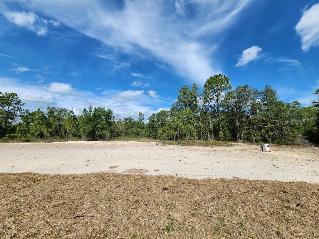 1780 SW Winding Hills Road Dunnellon FL 34431 OM703650 image2