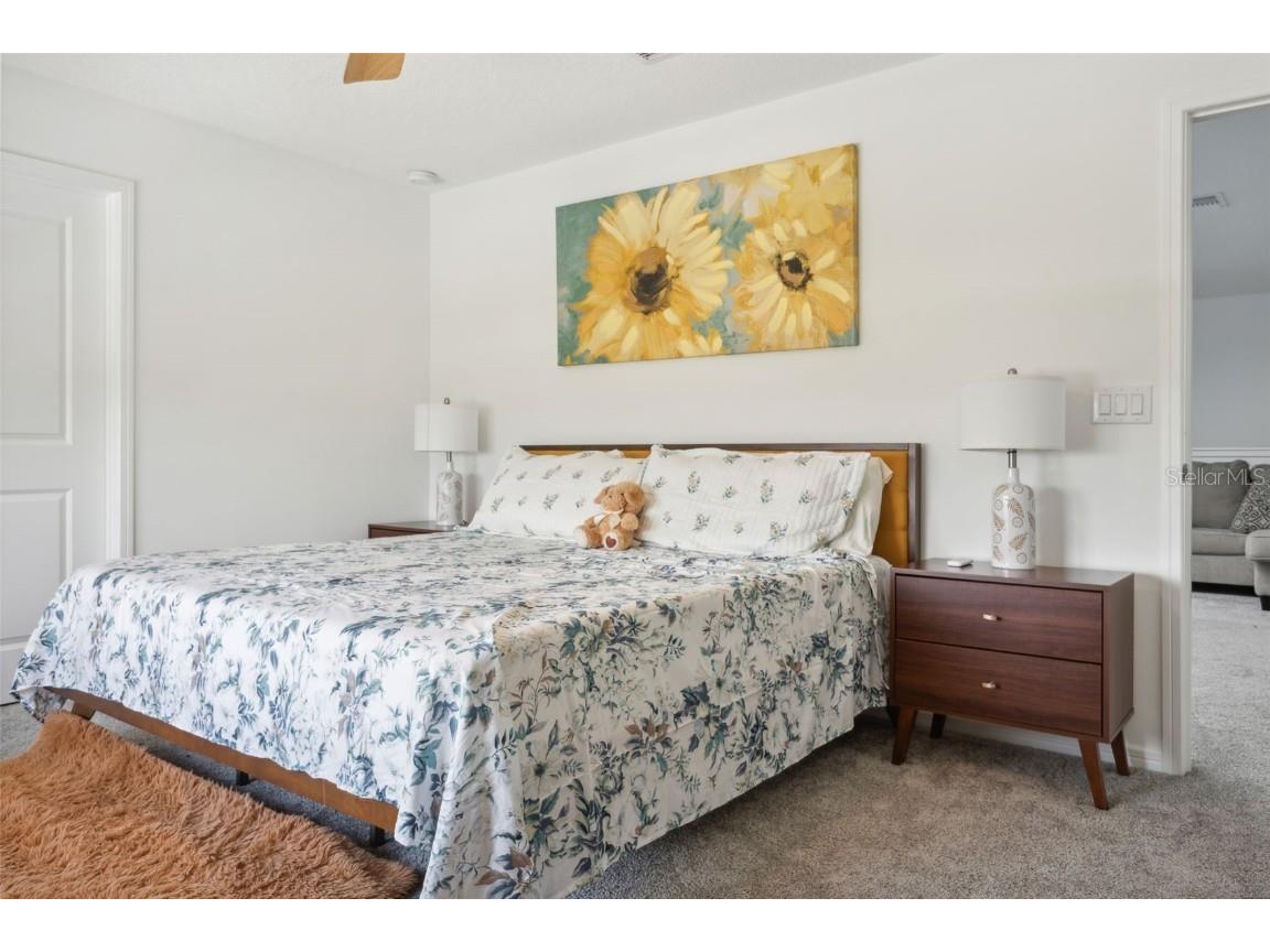 17801 Wind Chime Row Land O Lakes FL 34638 TB8445139 image18