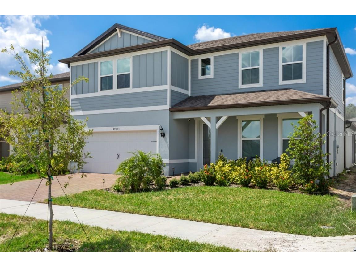 17801 Wind Chime Row Land O Lakes FL 34638 TB8445139 image2