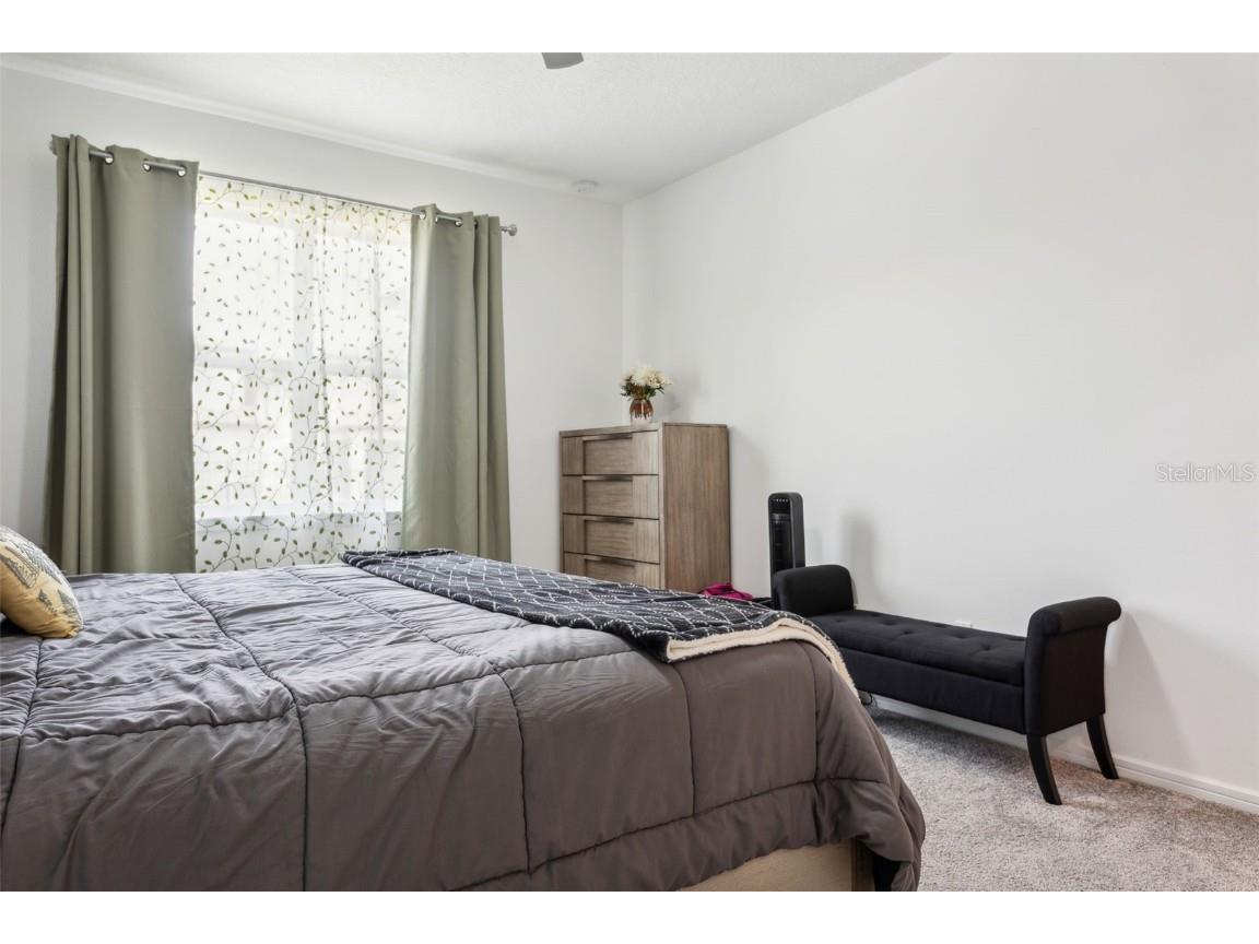 17801 Wind Chime Row Land O Lakes FL 34638 TB8445139 image24