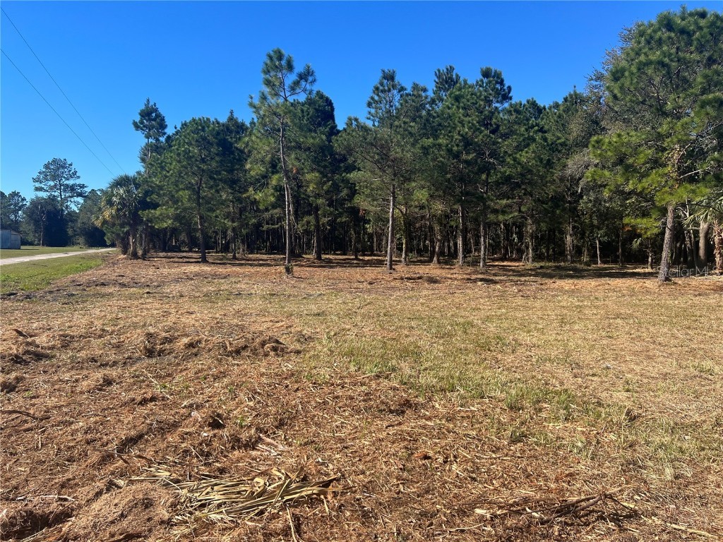 17802 Us-301 Waldo FL 32694 GC526686 image1