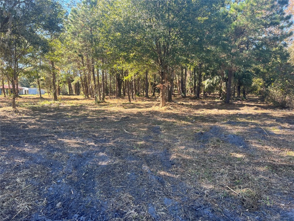 17802 Us-301 Waldo FL 32694 GC526686 image11