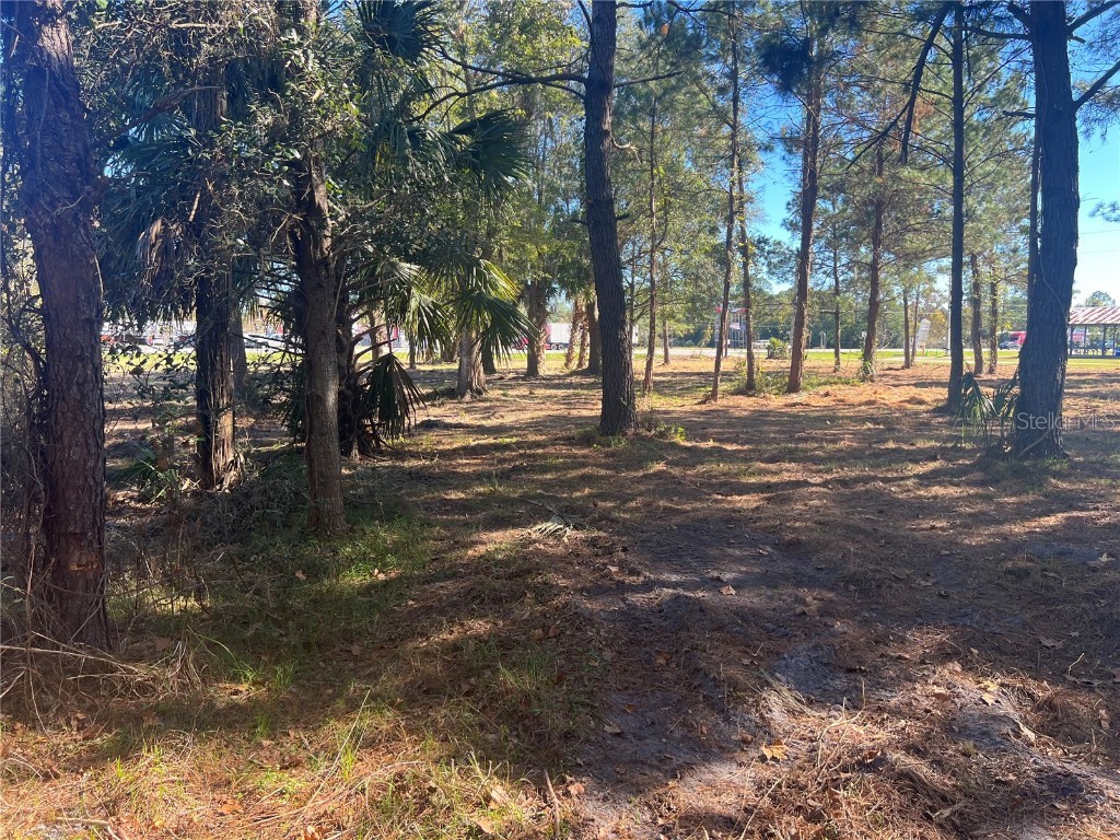 17802 Us-301 Waldo FL 32694 GC526686 image12