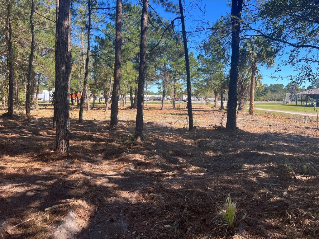 17802 Us-301 Waldo FL 32694 GC526686 image15