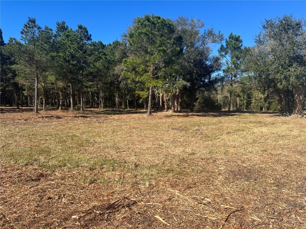 17802 Us-301 Waldo FL 32694 GC526686 image5