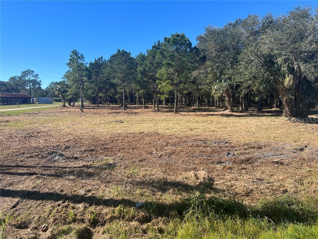 17802 Us-301 Waldo FL 32694 GC526686 image7