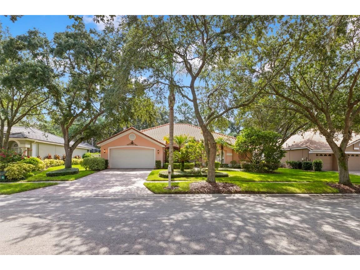 17803 Hickory Moss Place Tampa FL 33647 TB8362852 image1