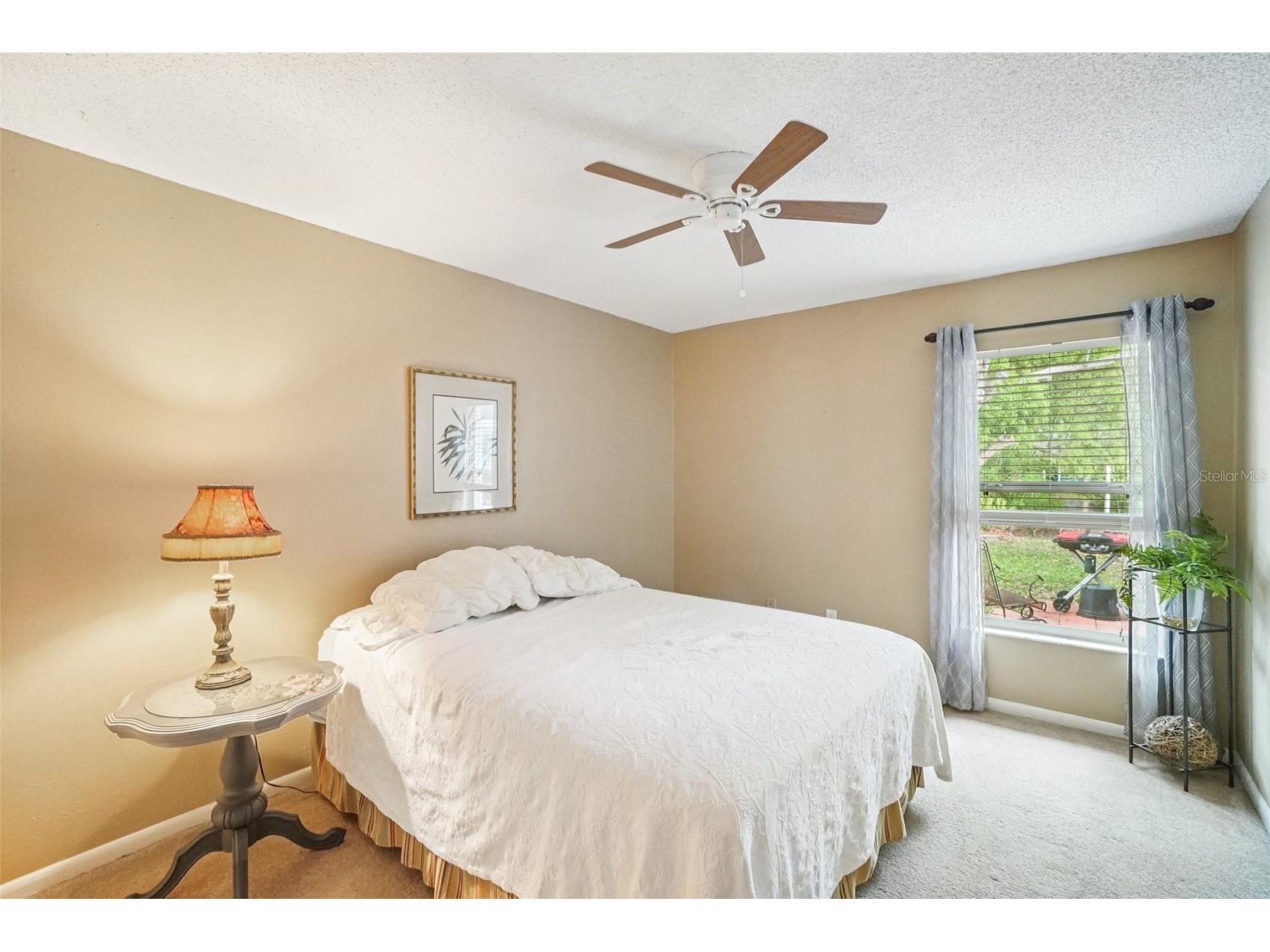 17803 Sunrise Drive Lutz FL 33549 TB8494486 image24