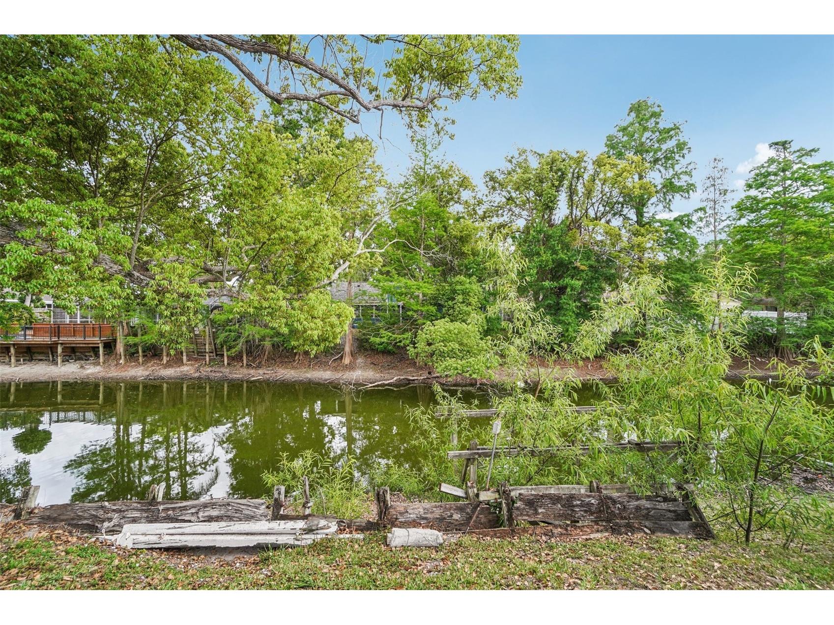 17803 Sunrise Drive Lutz FL 33549 TB8494486 image33