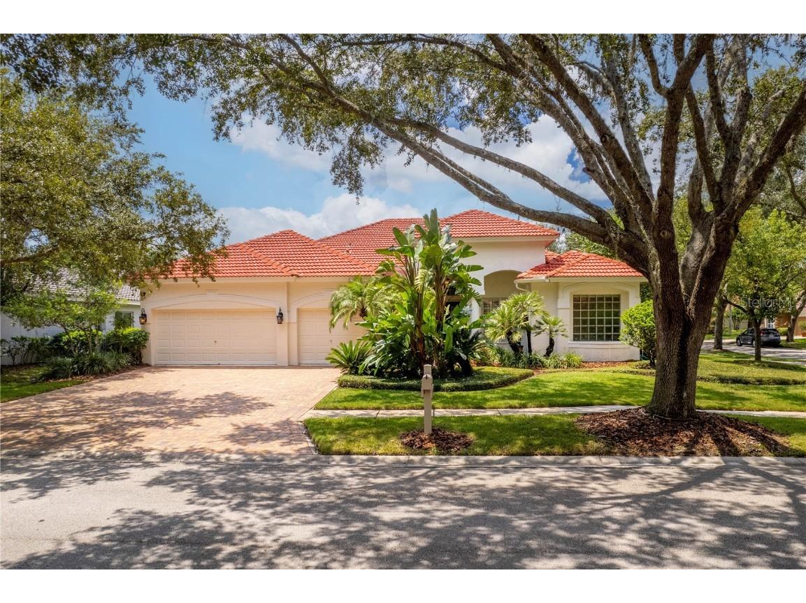 17804 Hickory Moss Place Tampa FL 33647 T3550365 image1