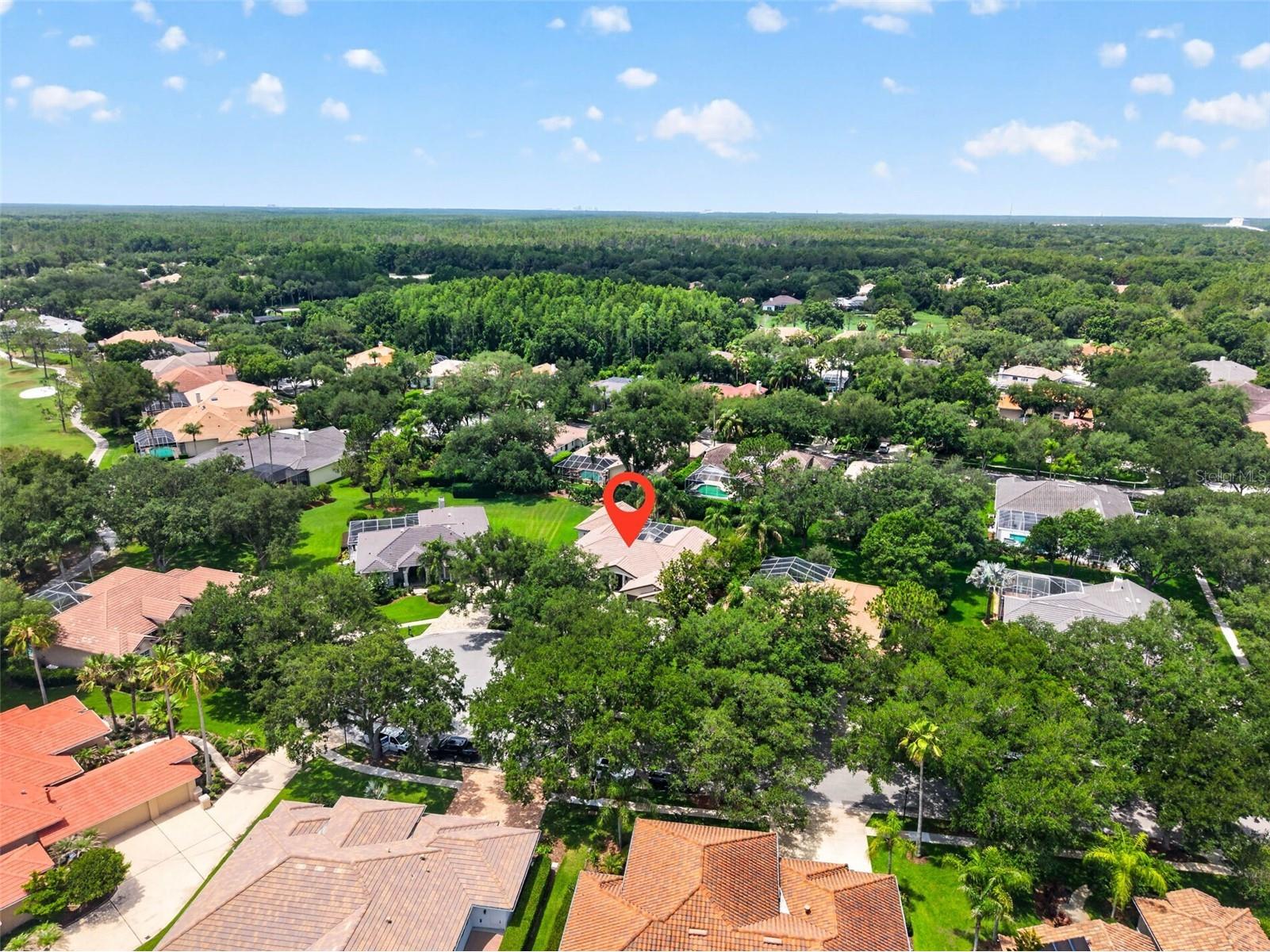 17804 Ridgeway Court Tampa FL 33647 TB8515676 image47