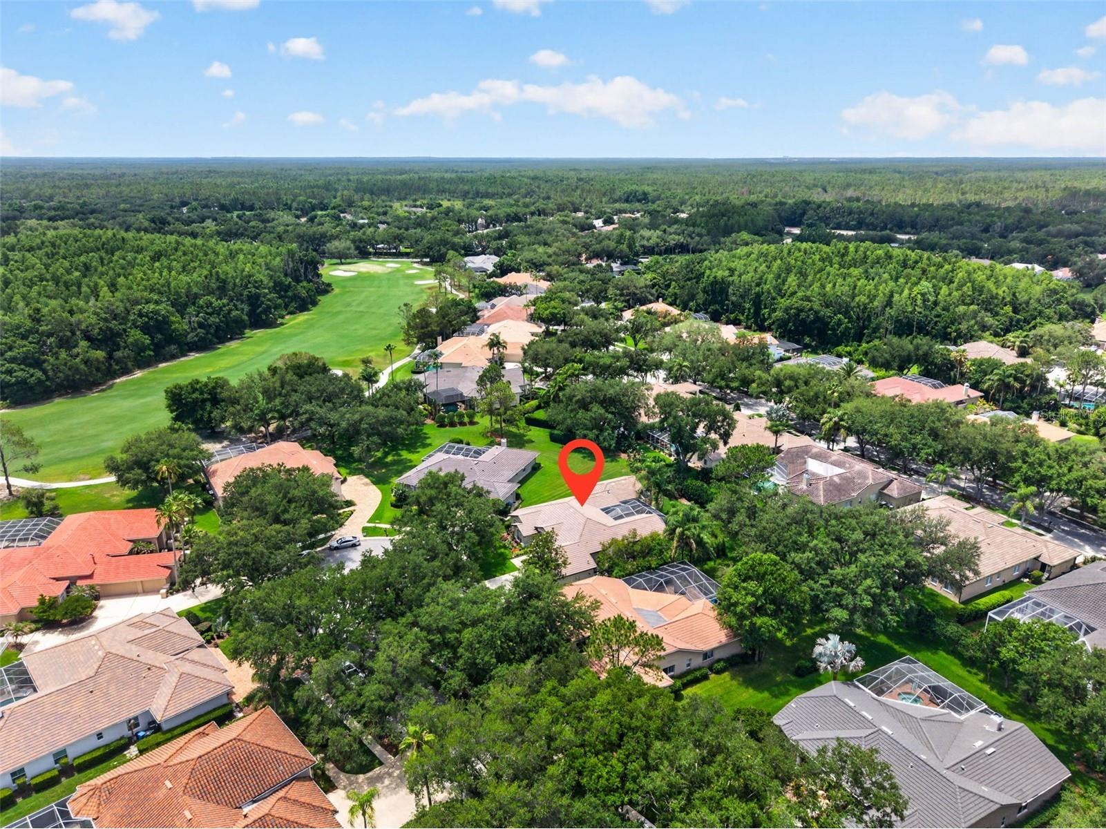 17804 Ridgeway Court Tampa FL 33647 TB8515676 image48