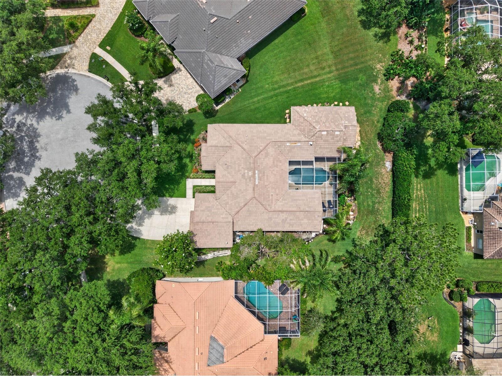 17804 Ridgeway Court Tampa FL 33647 TB8515676 image49