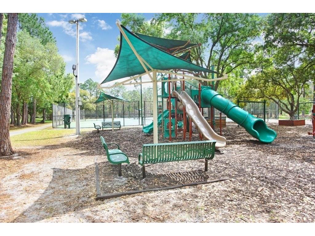 17804 Ridgeway Court Tampa FL 33647 TB8515676 image55
