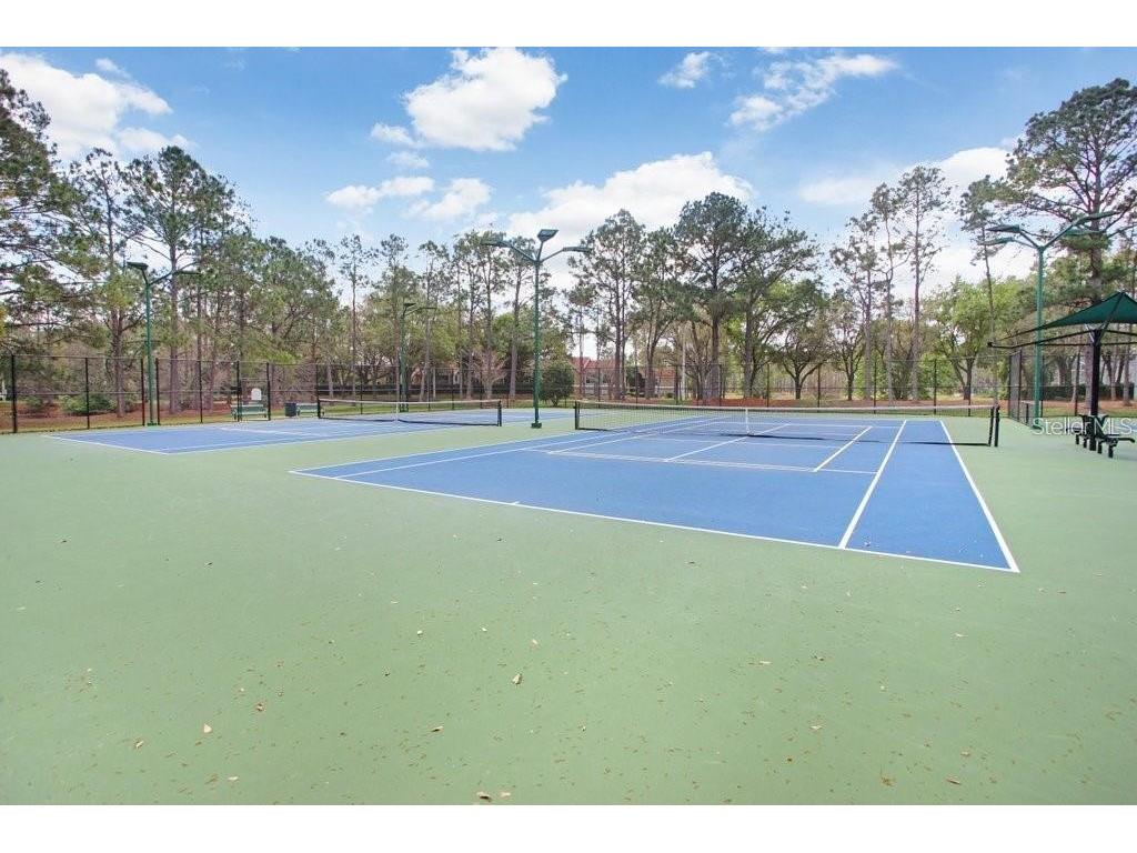 17804 Ridgeway Court Tampa FL 33647 TB8515676 image56