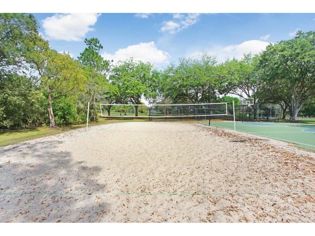 17804 Ridgeway Court Tampa FL 33647 TB8515676 image59