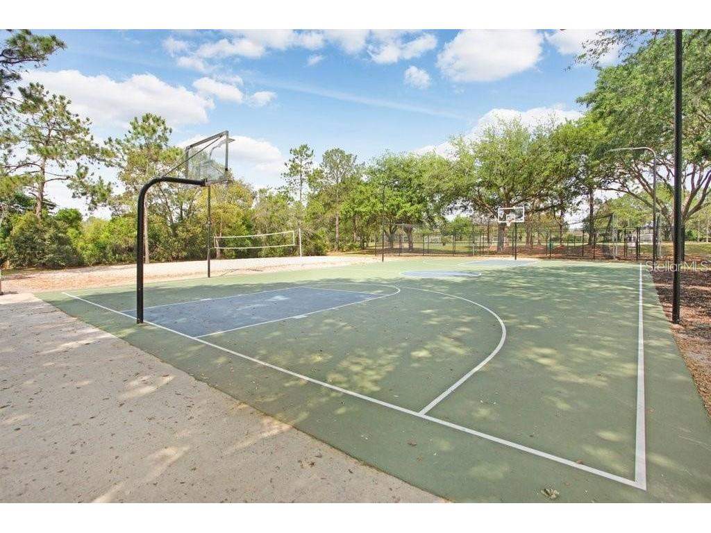 17804 Ridgeway Court Tampa FL 33647 TB8515676 image60