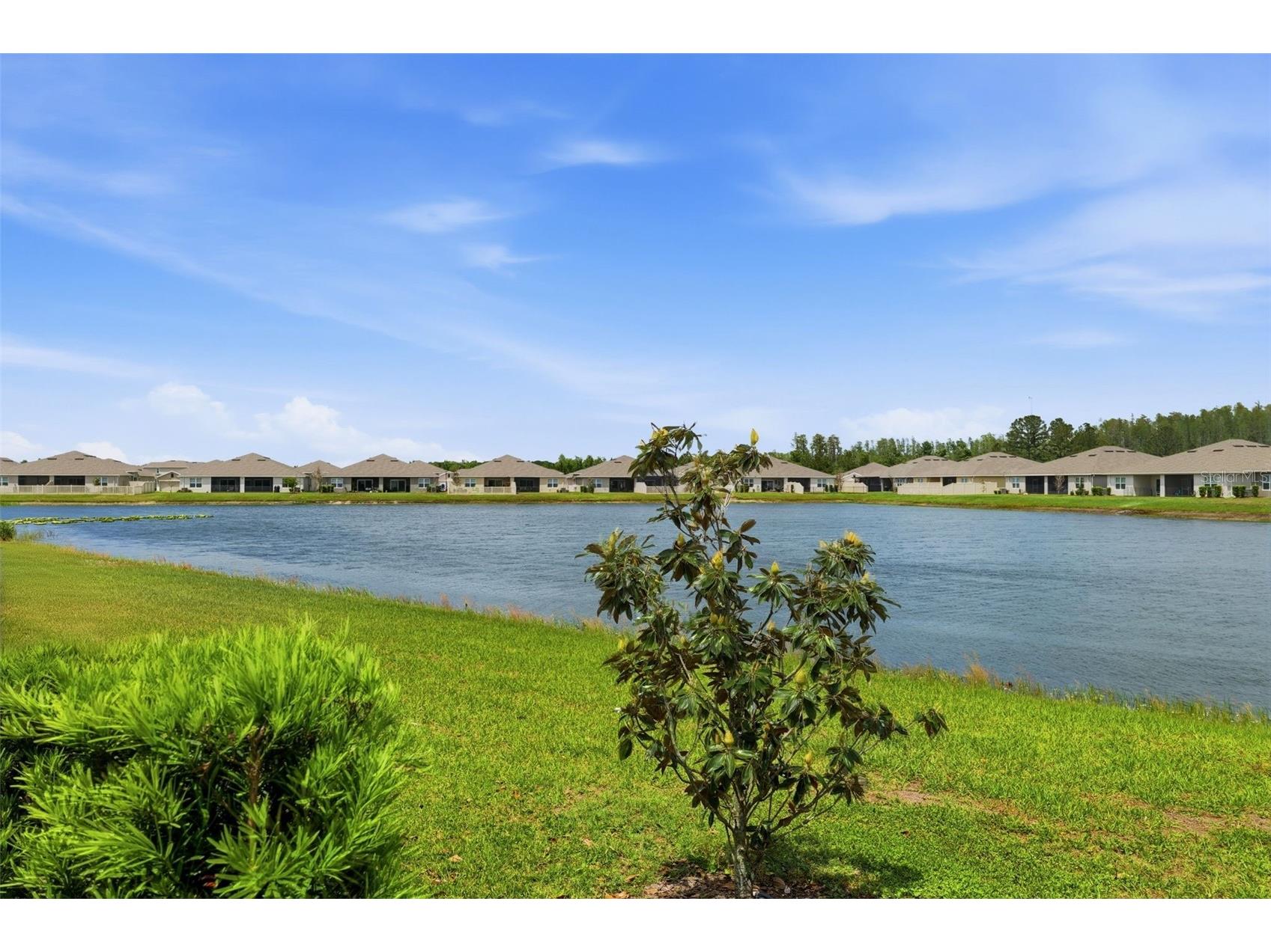17804 Turning Leaf Circle Land O Lakes FL 34638 TB8496963 image33