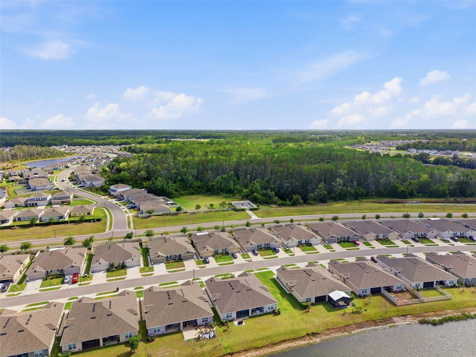 17804 Turning Leaf Circle Land O Lakes FL 34638 TB8496963 image40