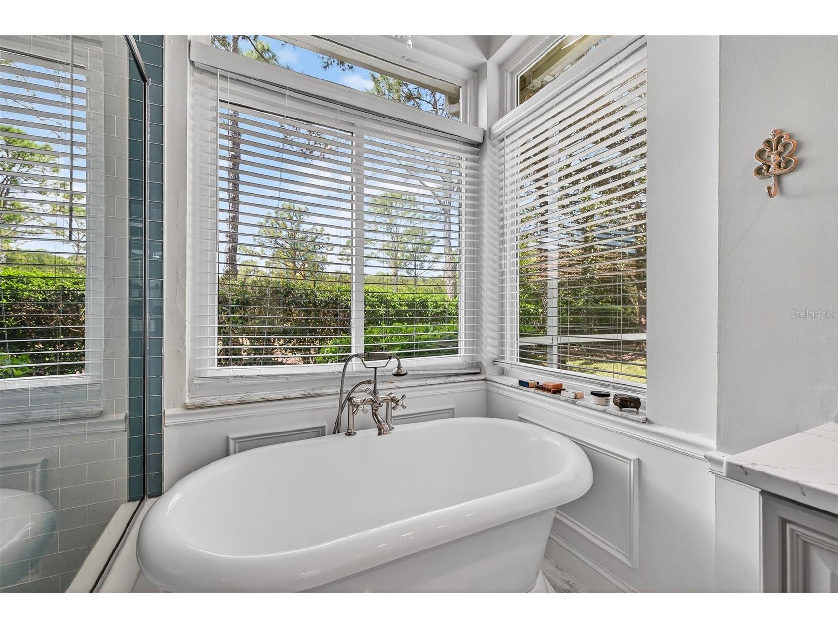 17805 Green Willow Drive Tampa FL 33647 TB8494429 image24