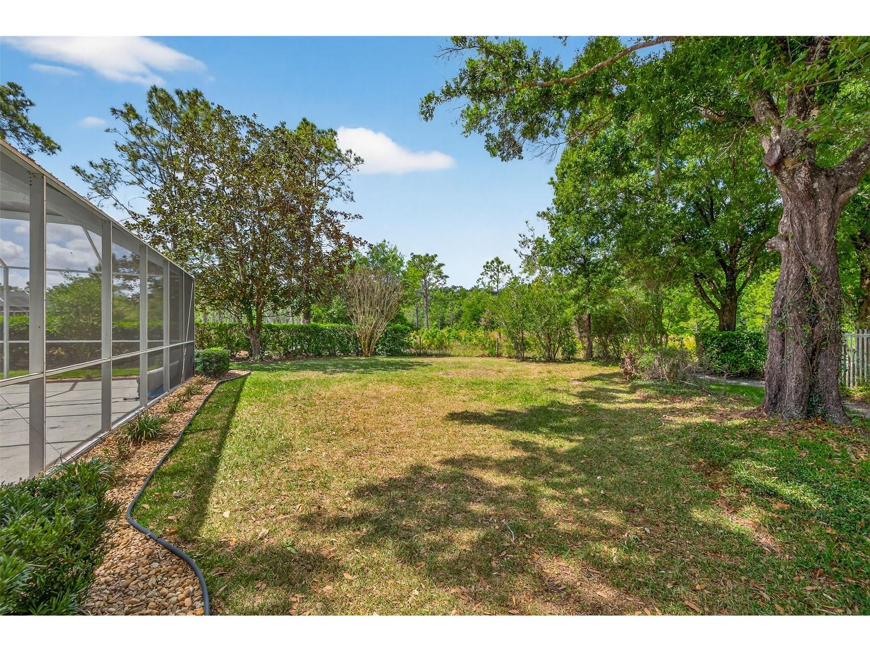 17805 Green Willow Drive Tampa FL 33647 TB8494429 image38