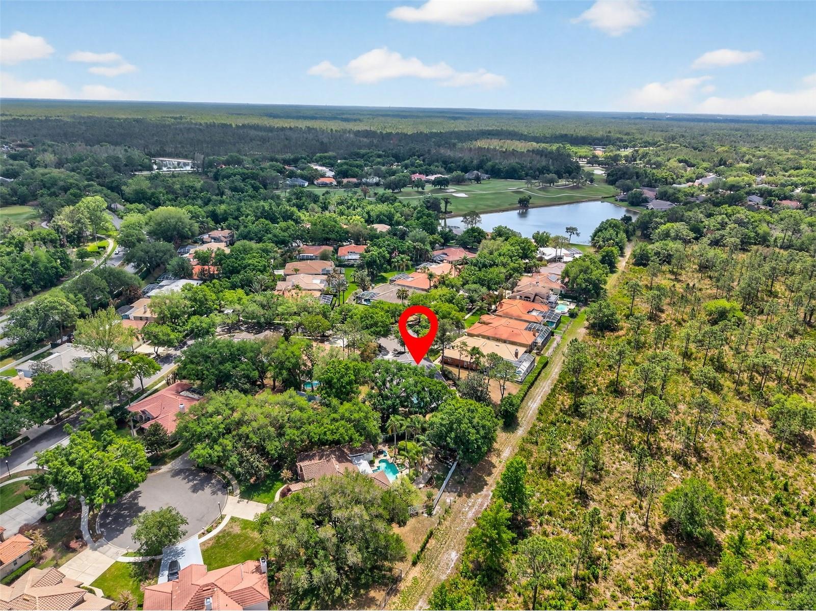 17805 Green Willow Drive Tampa FL 33647 TB8494429 image40