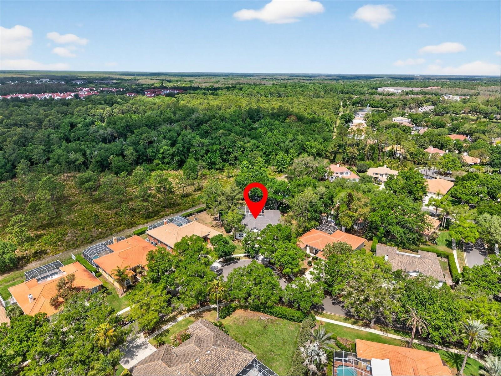 17805 Green Willow Drive Tampa FL 33647 TB8494429 image41