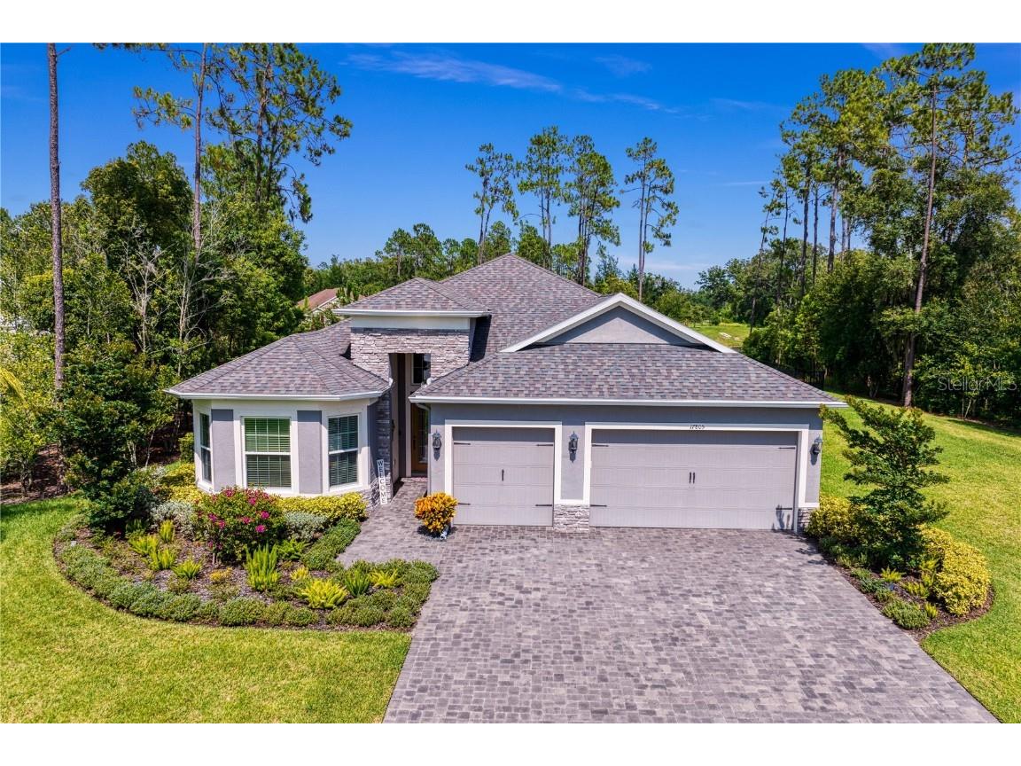 17805 Waterway Creek Drive Lutz FL 33549 T3462643 image1