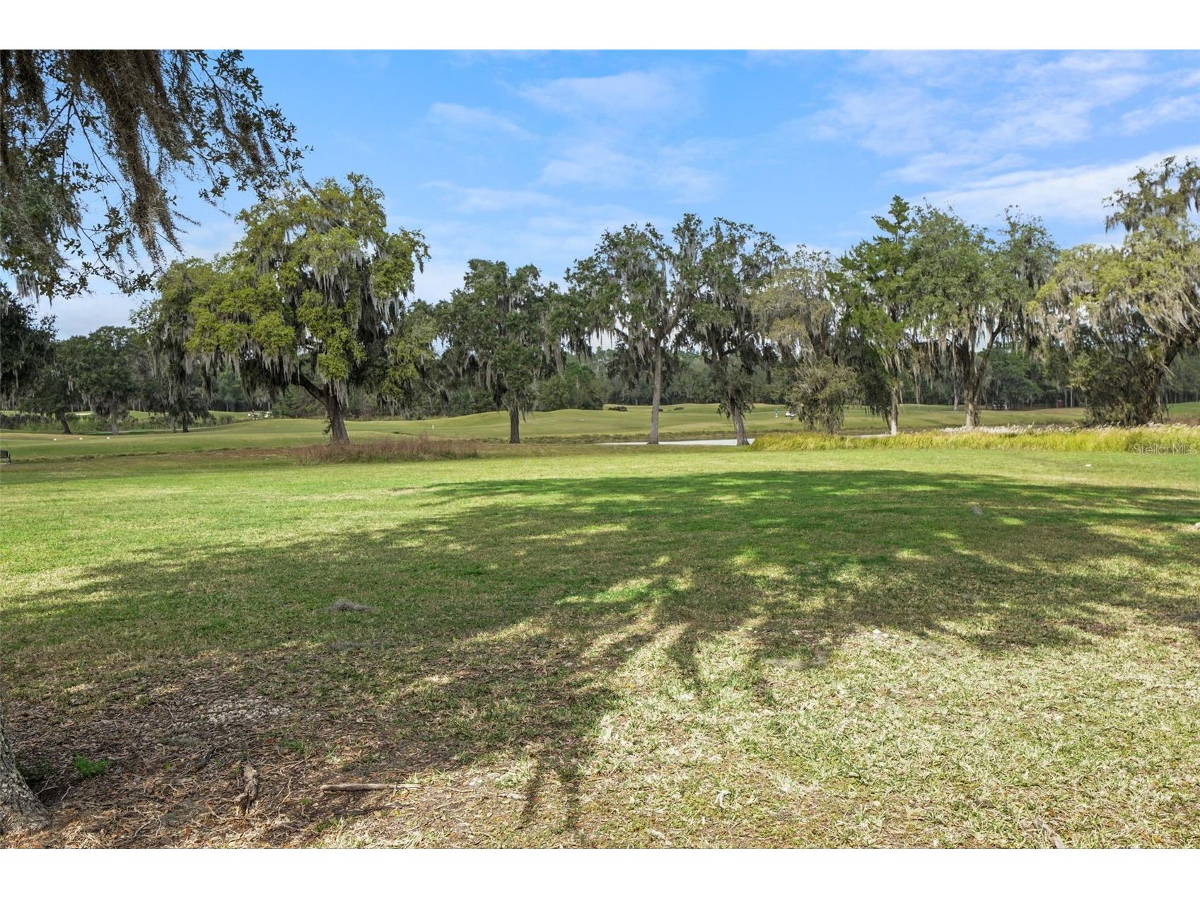 17807 Garsalaso Circle Brooksville FL 34604 TB8480826 image55