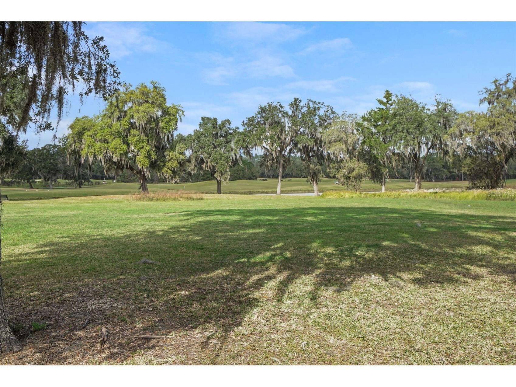17807 Garsalaso Circle Brooksville FL 34604 TB8480826 image8
