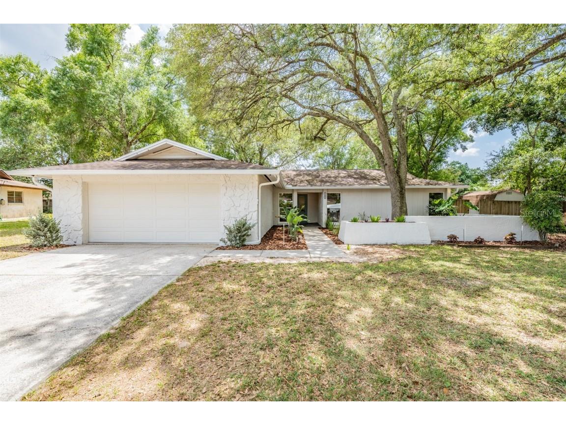 17807 Rivendel Road Lutz FL 33549 T3525332 image1