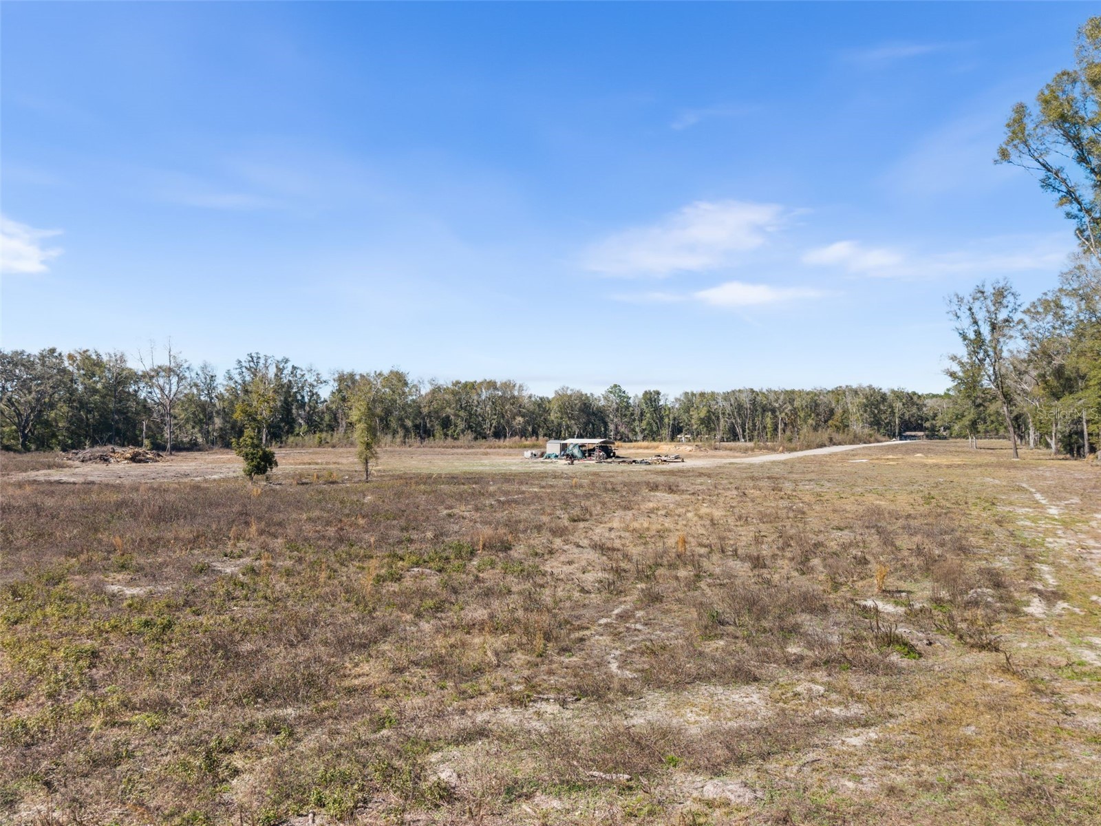 17807 SW 83rd Avenue Archer FL 32618 OM719640 image13