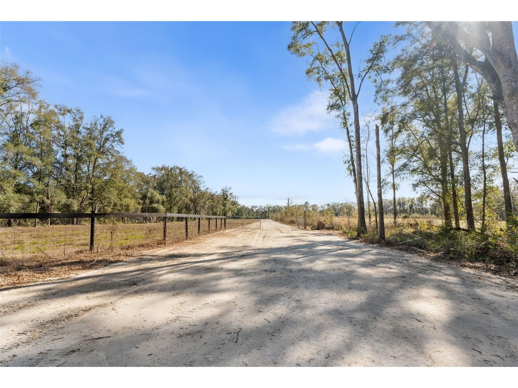 17807 SW 83rd Avenue Archer FL 32618 OM719640 image3