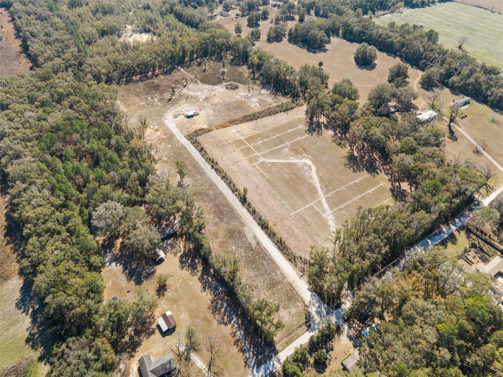 17807 SW 83rd Avenue Archer FL 32618 OM719640 image5