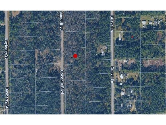 1781 Coconut Boulevard Bunnell FL 32110 C7519169 image1