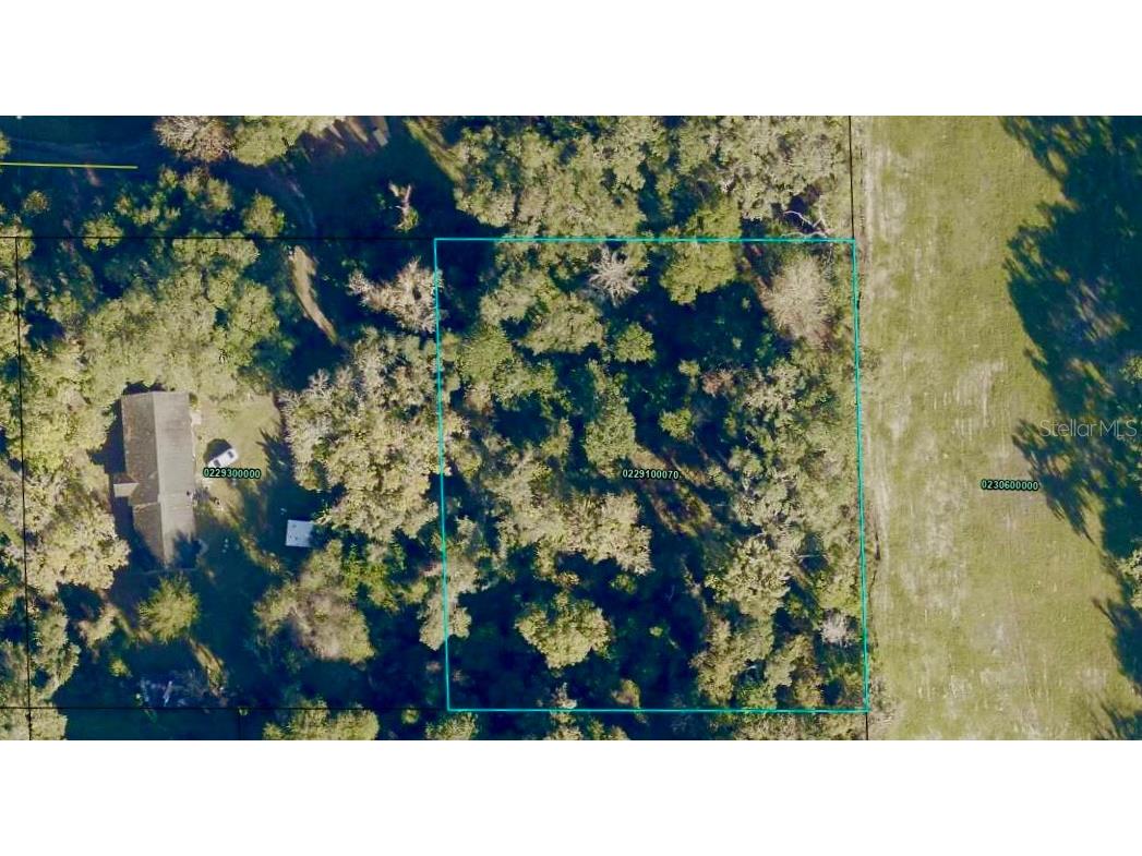 1781 N Hickory Lane Elkton FL 32033 FC287261 image1