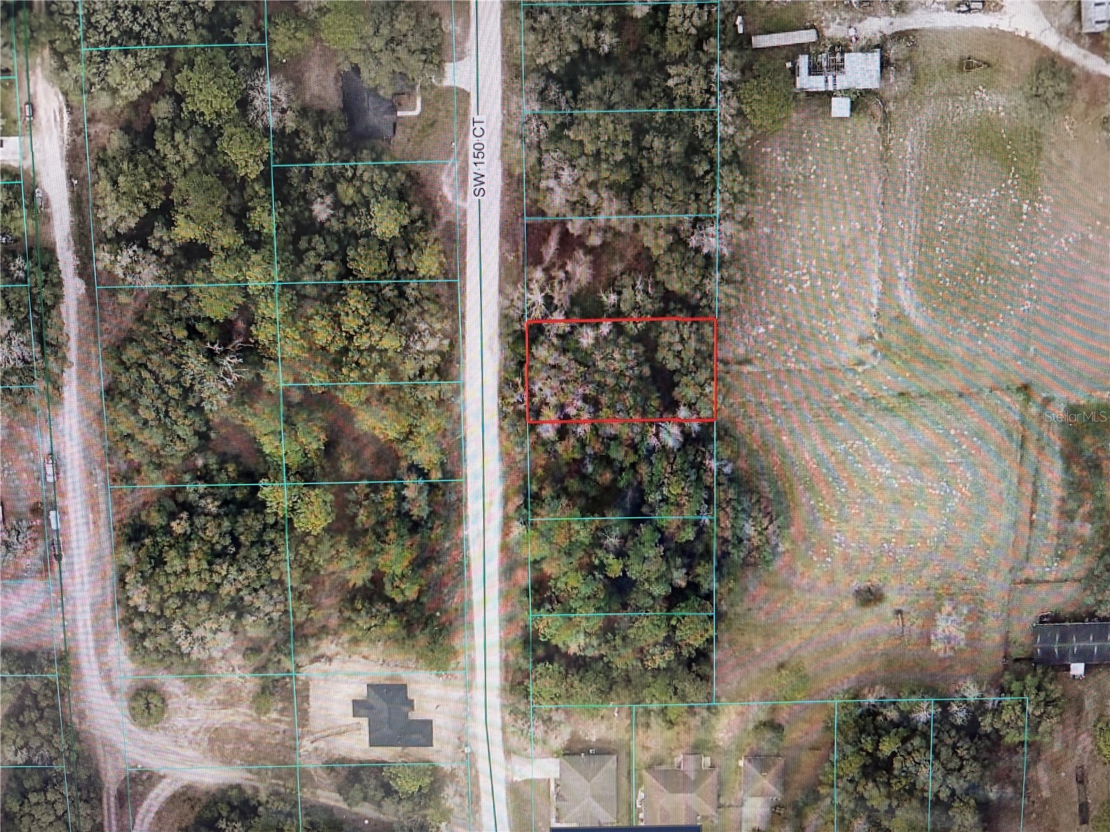 1781 SW 150th Court Ocala FL 34481 OM723059 image1